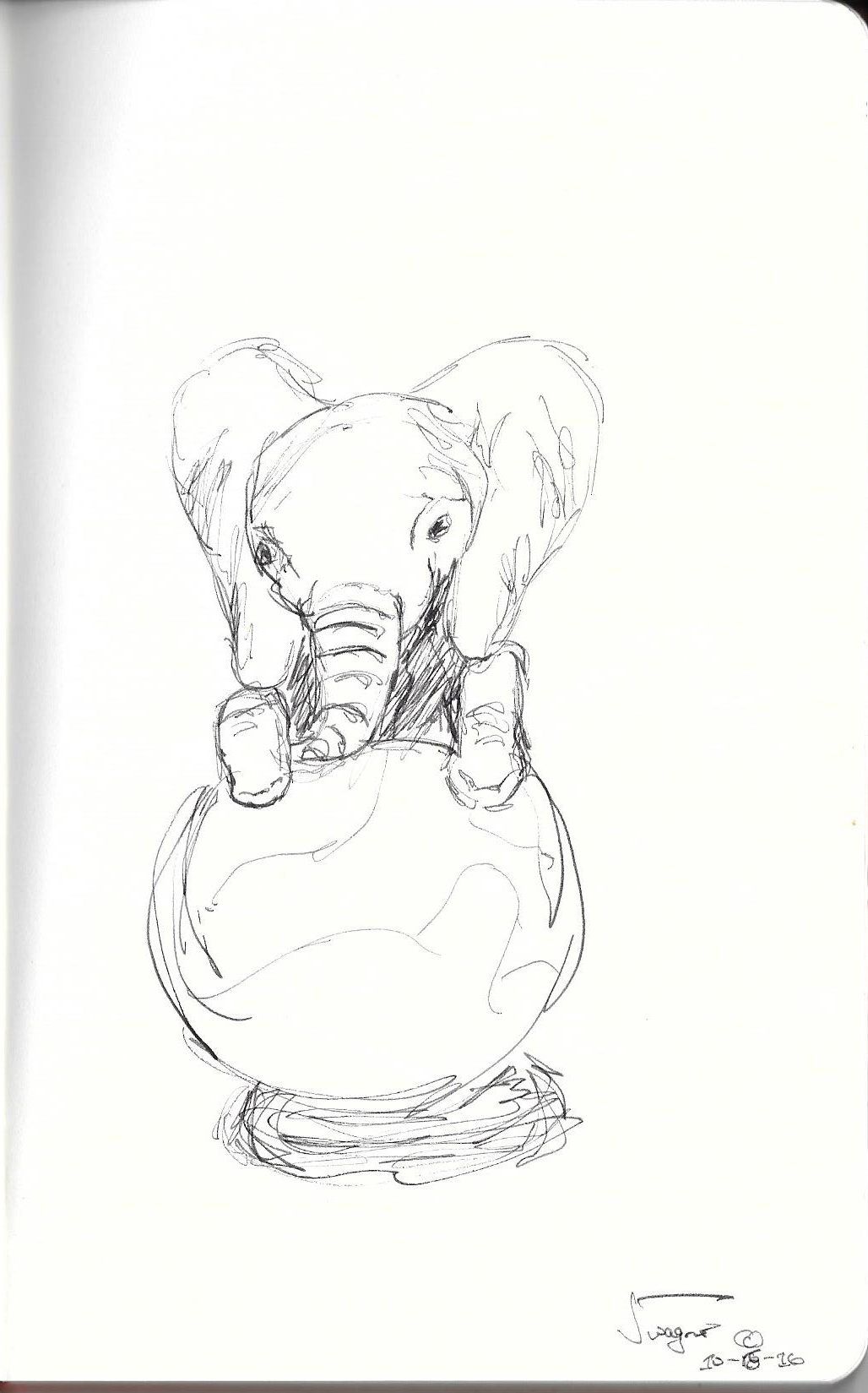 Elephant on a ball or world